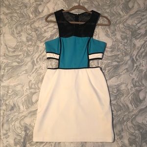 Bebe Color Block Dress